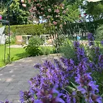 Guest house The House Of Roses 4*