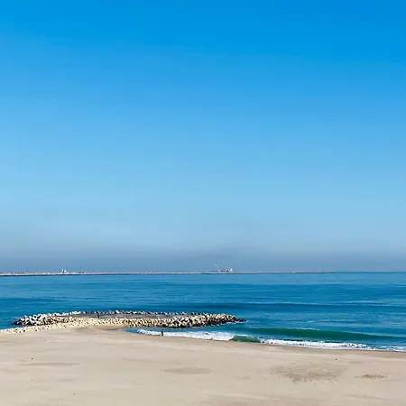 Gasthuis The House Of Roses Eforie Nord