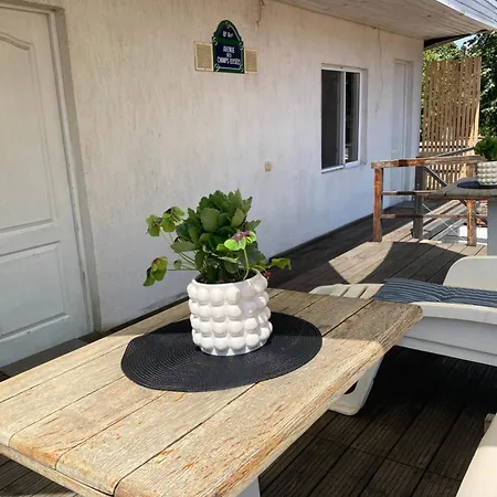 Gasthuis The House Of Roses