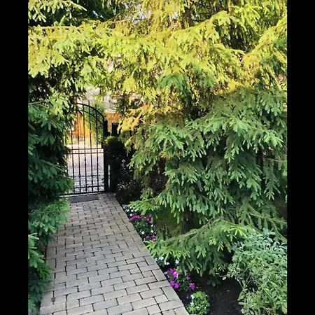 Konukevi The House Of Roses Eforie Nord