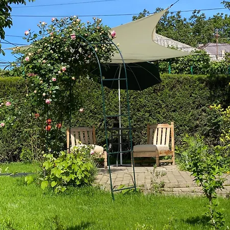 The House Of Roses Pensiune