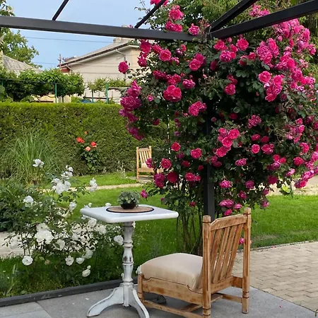 The House Of Roses Guest house *