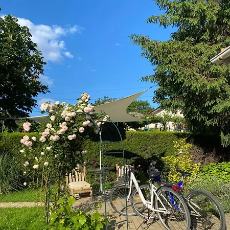 The House Of Roses Pensiune