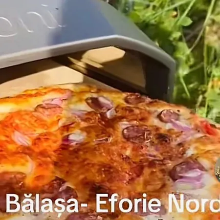 The House Of Roses Pensiune 4*