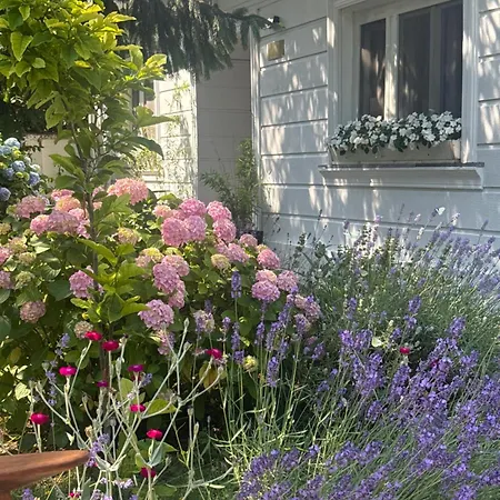 The House Of Roses 4* エフォリエ・ノルド