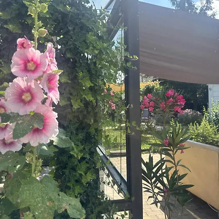 The House Of Roses エフォリエ・ノルド