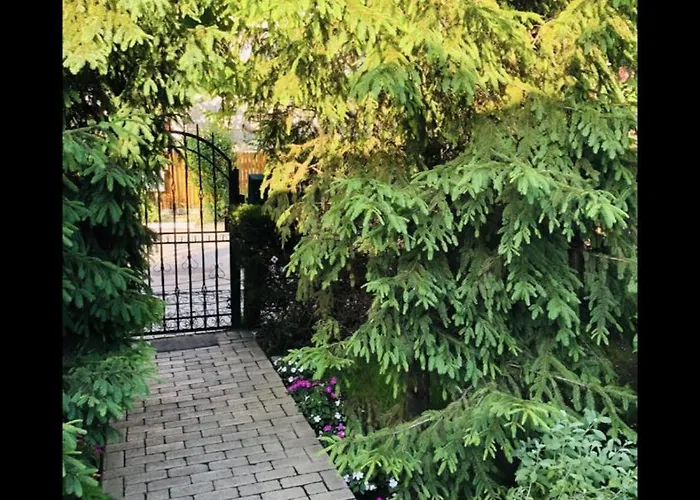 Pensiune The House Of Roses Eforie Nord