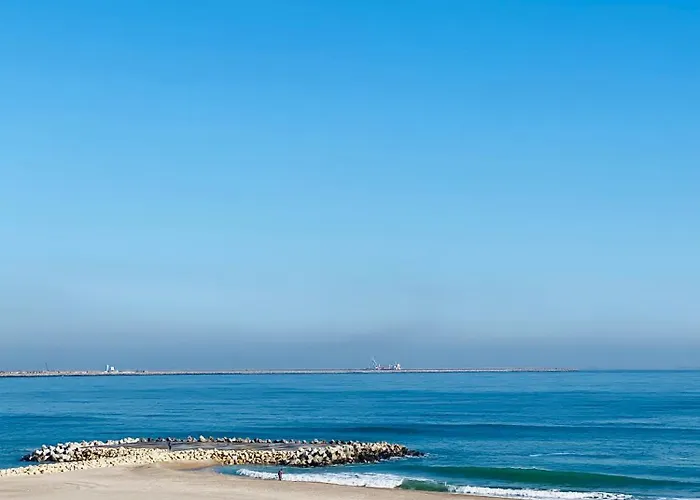 Pensiune The House Of Roses Eforie Nord