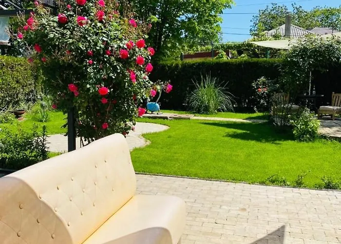 Pensiune The House Of Roses