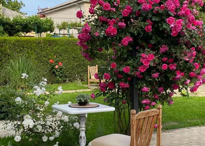 The House Of Roses Pensiune 4*