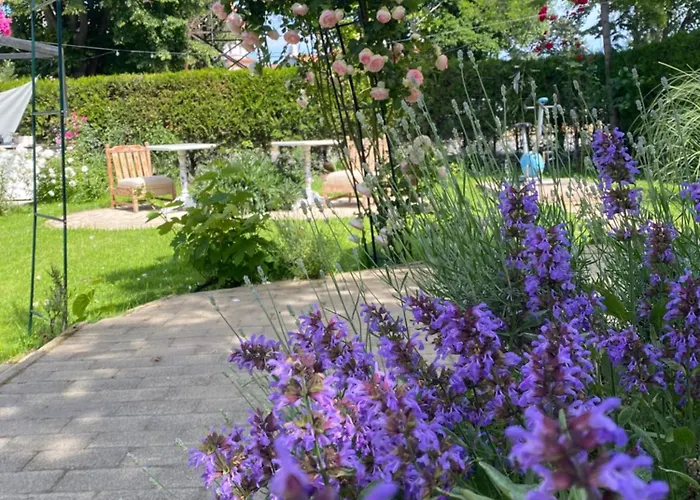 Guest house The House Of Roses 4*