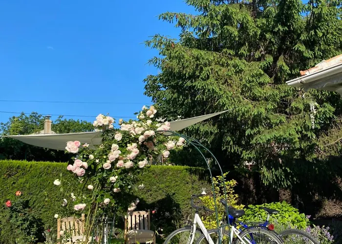 The House Of Roses 4*