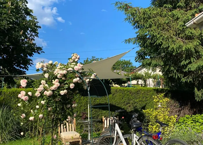 The House Of Roses Pensiune