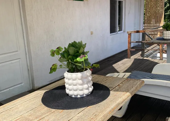 Guest house The House Of Roses